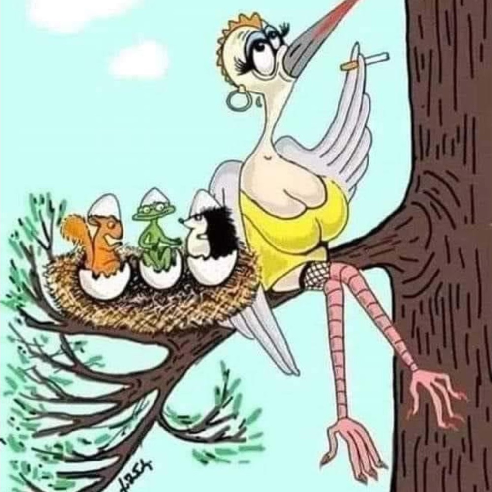 Meet your Posher, Elzbieta